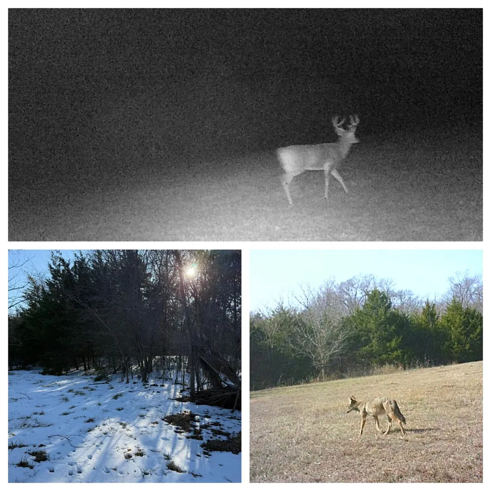 1075 County Road 24280 Roxton, TX 75477