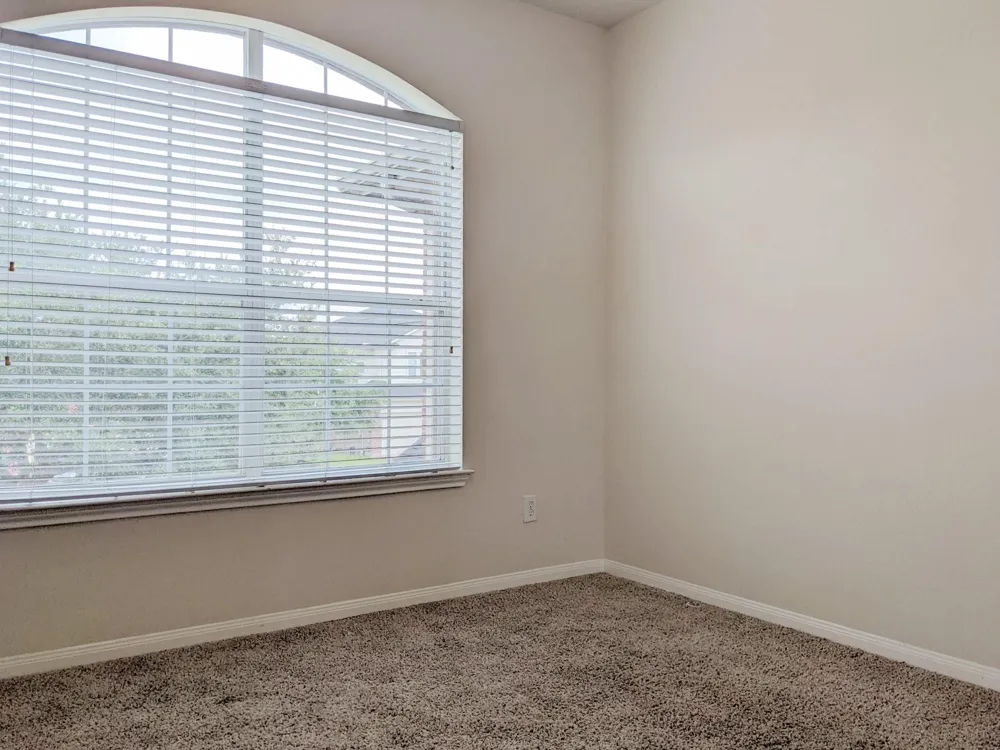 11 Carmel Chase Court Manvel, TX 77578