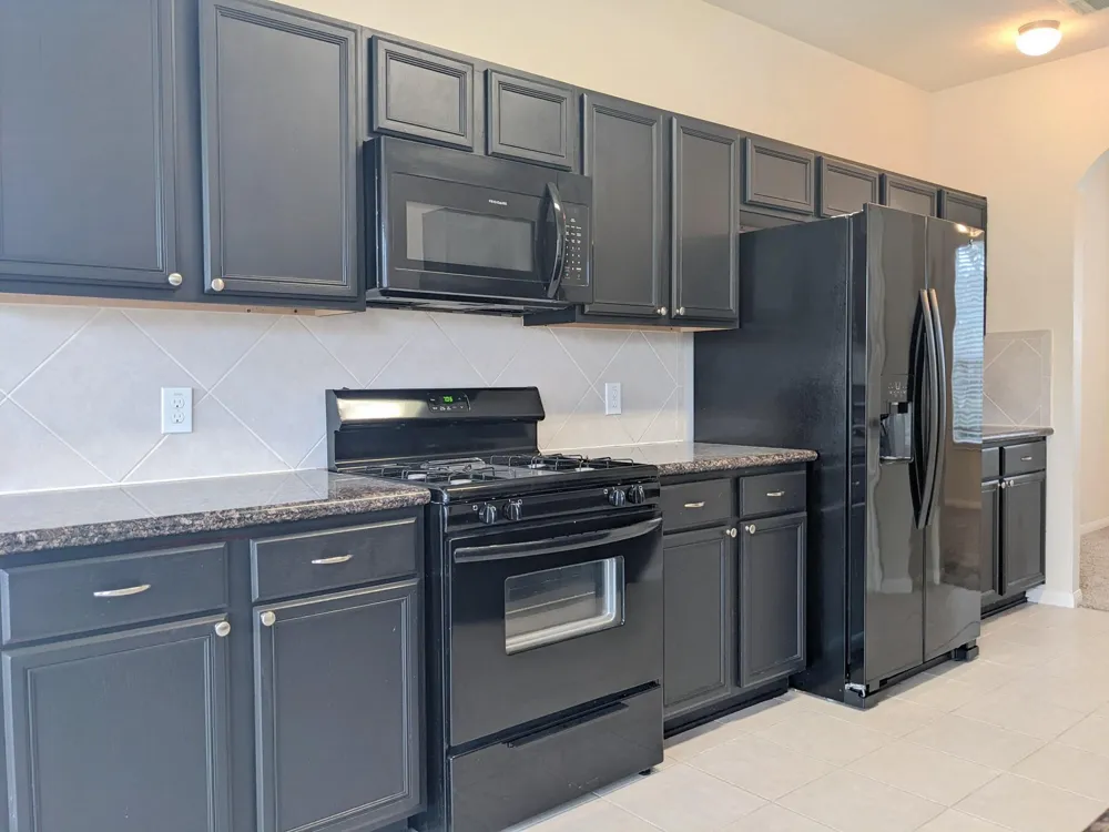 11 Carmel Chase Court Manvel, TX 77578