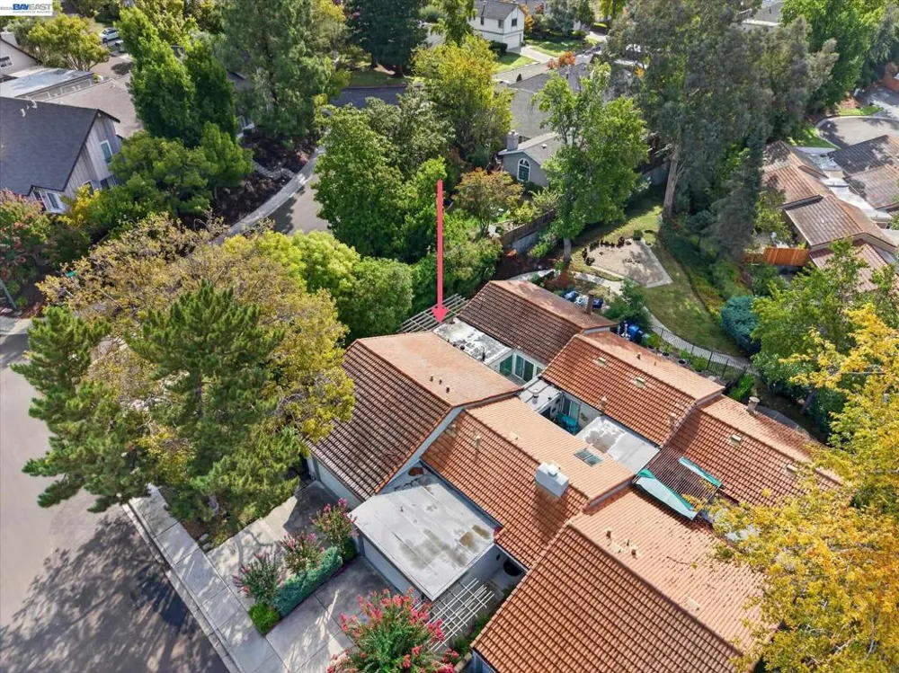 509 Tampico Walnut Creek, CA 94598