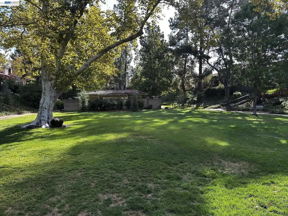 509 Tampico Walnut Creek, CA 94598