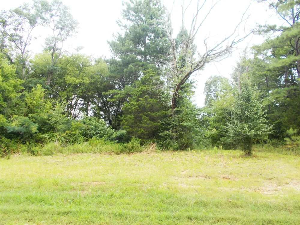 0 Sand Pit Loop Camden, TN 38320
