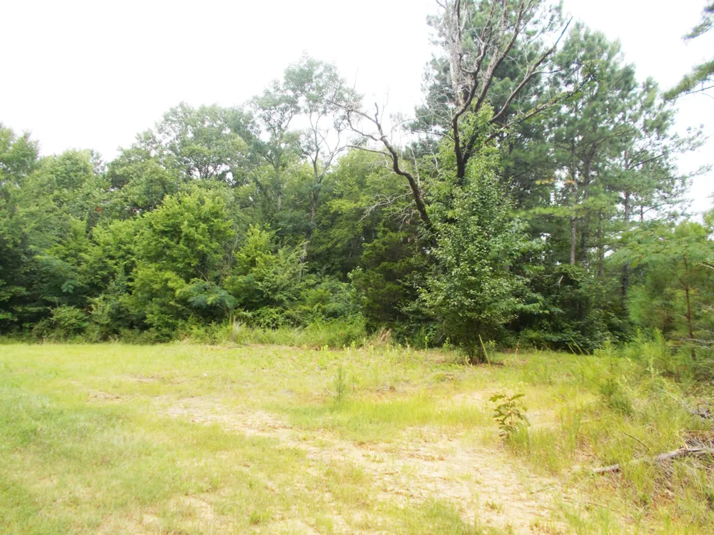 0 Sand Pit Loop Camden, TN 38320