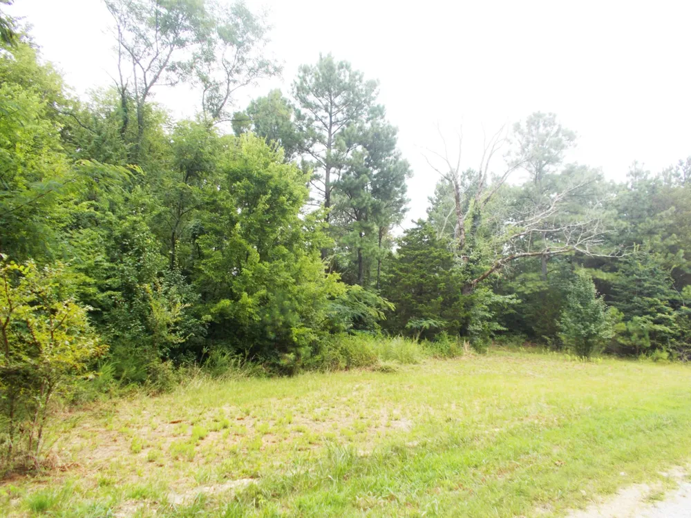 0 Sand Pit Loop Camden, TN 38320