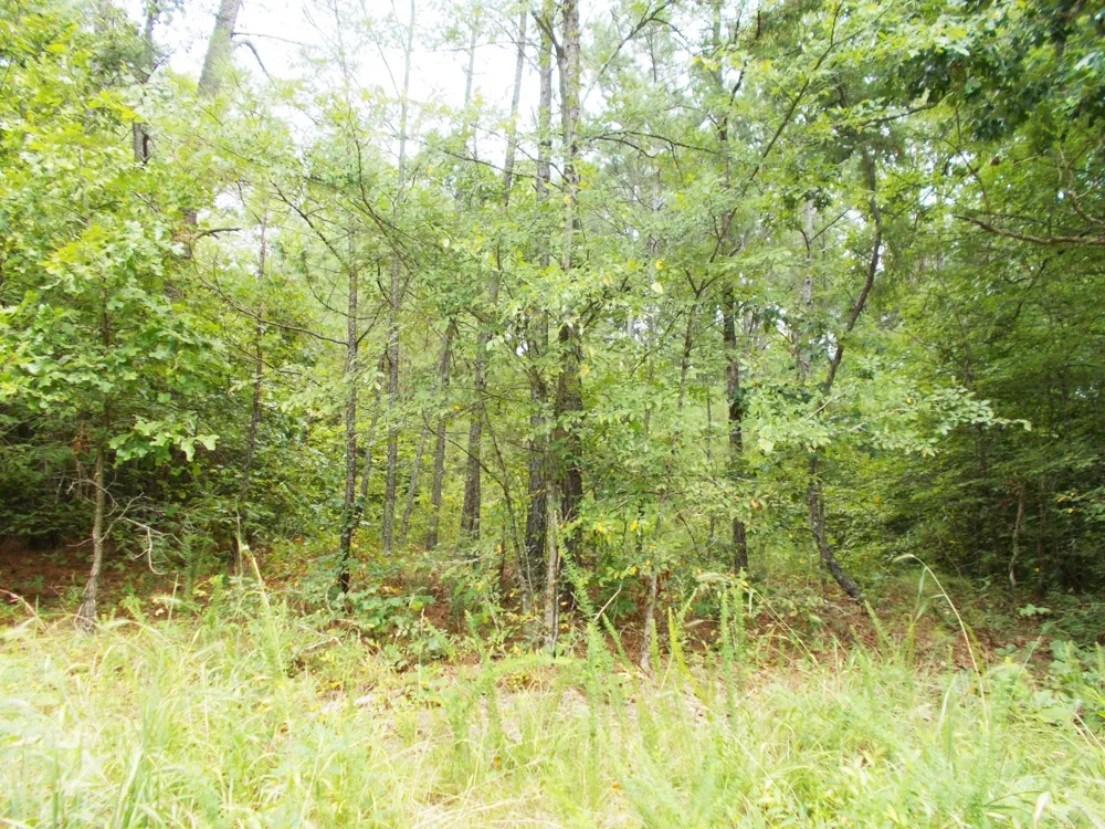 0 Sand Pit Loop Camden, TN 38320
