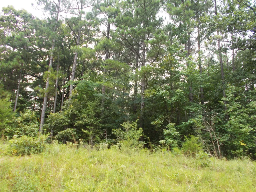 0 Sand Pit Loop Camden, TN 38320