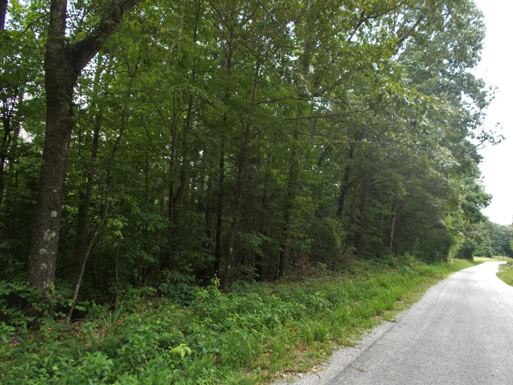 0 Sand Pit Loop Camden, TN 38320