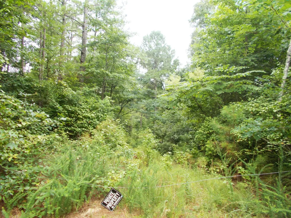 0 Sand Pit Loop Camden, TN 38320