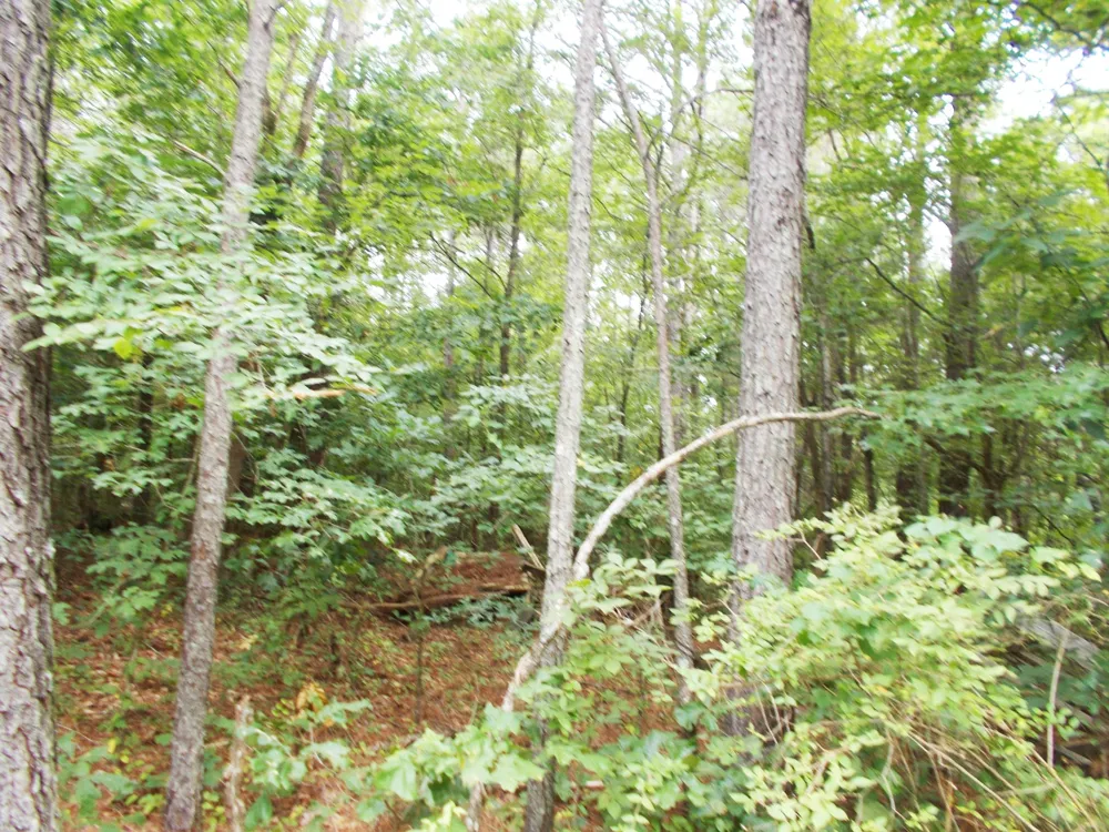0 Sand Pit Loop Camden, TN 38320