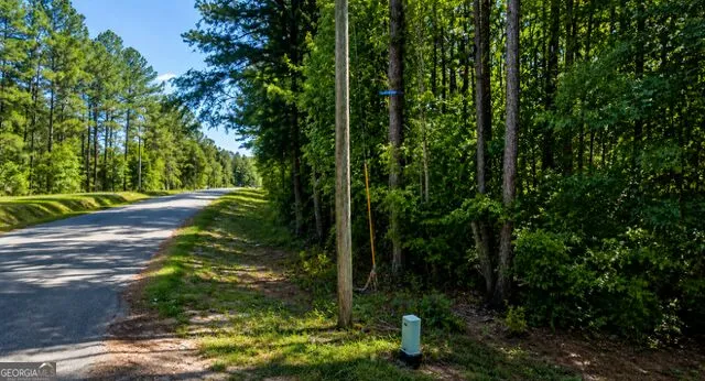 0 Deerwood TRL Dublin, GA 31021