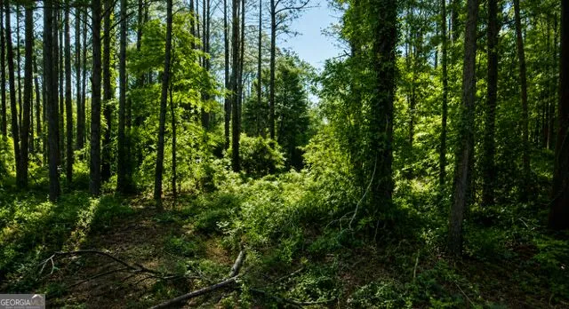 0 Deerwood TRL Dublin, GA 31021