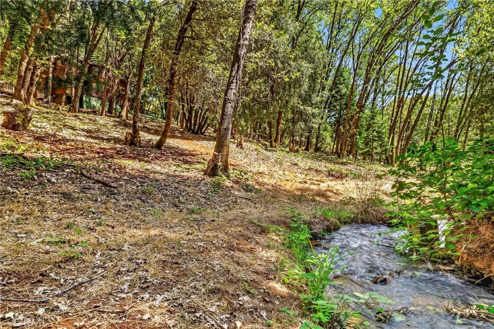 6055 Timber Ridge Magalia, CA 95954