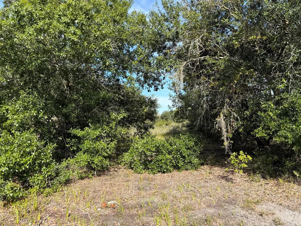 21231 NW 270TH STREET Okeechobee, FL 34972