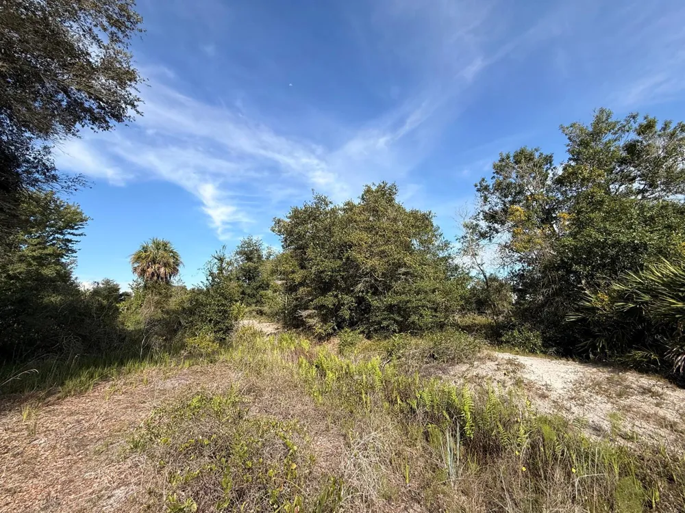 21231 NW 270TH STREET Okeechobee, FL 34972