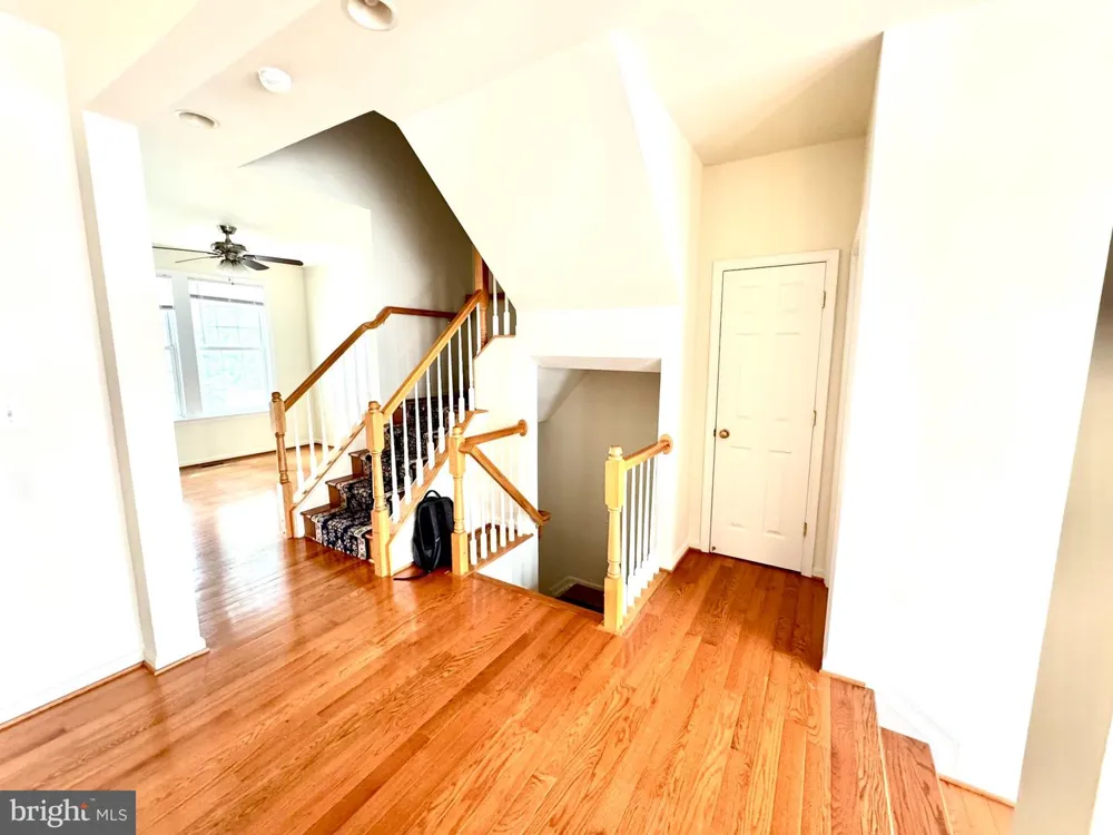 3381 BEECHCLIFF DRIVE Alexandria, VA 22306