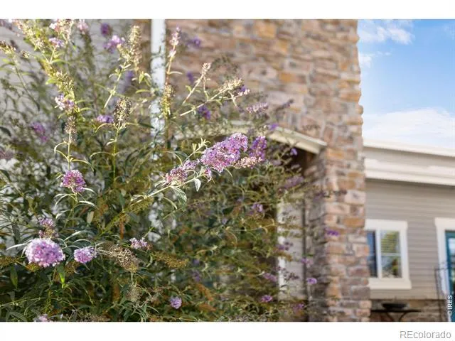 5044 Cinquefoil Lane #G Fort Collins, CO 80528