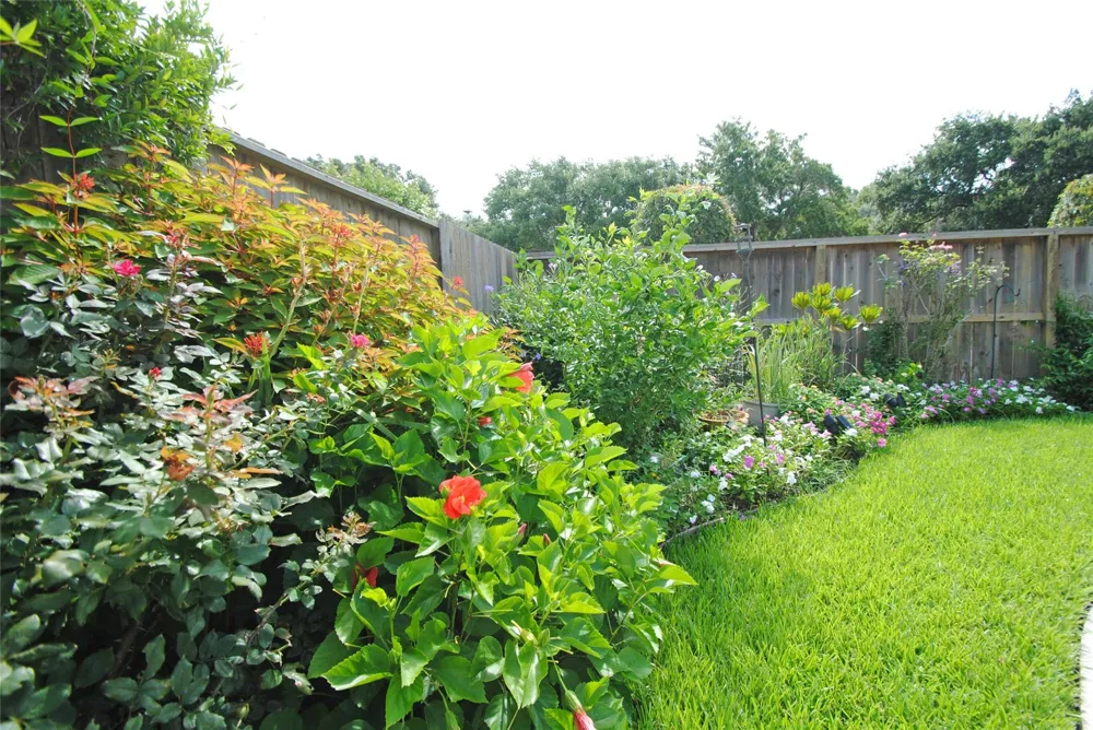 22902 Greenrush Drive Katy, TX 77494