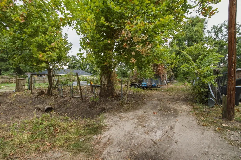 974 Dolly Wright Street Hockley, TX 77088