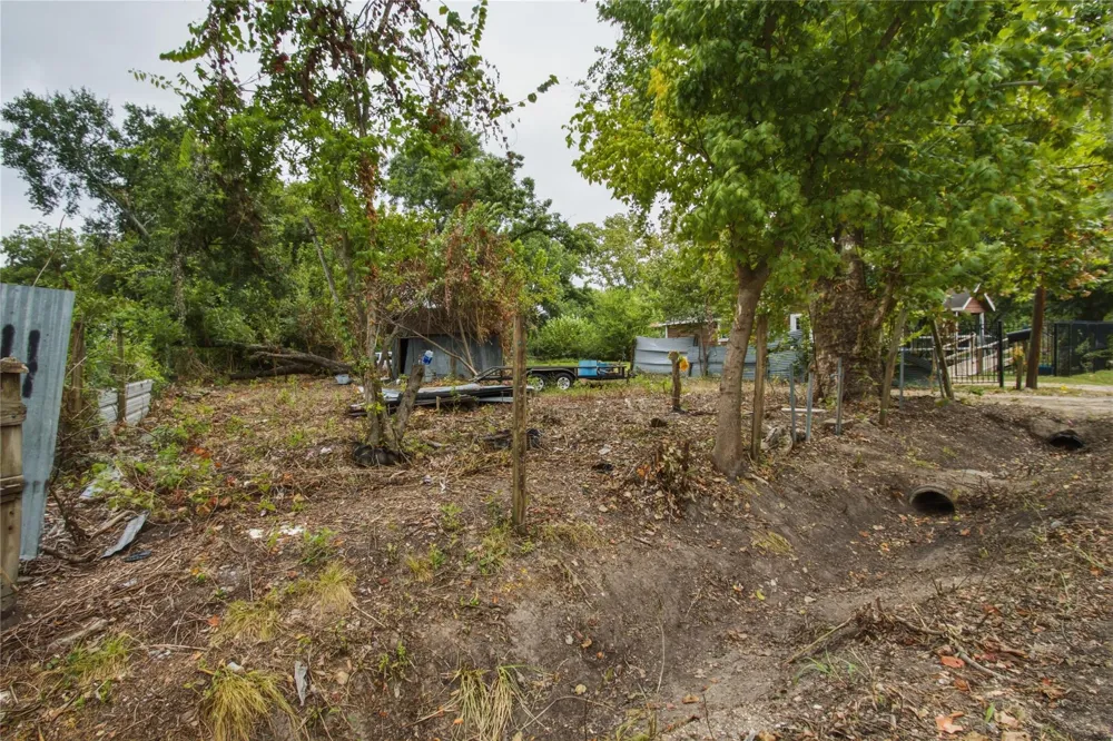 974 Dolly Wright Street Hockley, TX 77088