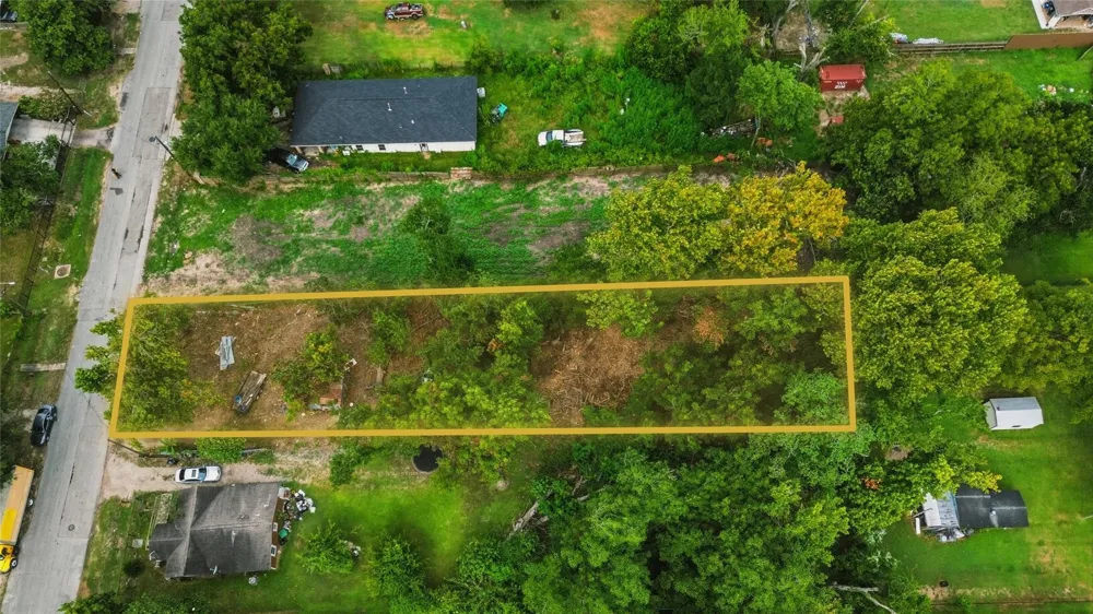 974 Dolly Wright Street Hockley, TX 77088