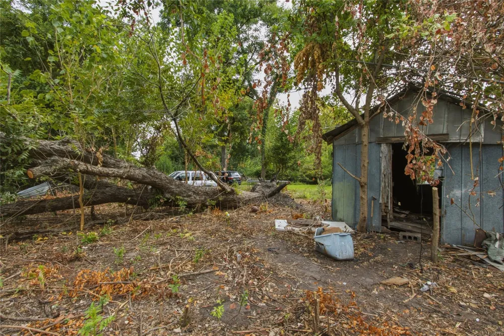 974 Dolly Wright Street Hockley, TX 77088