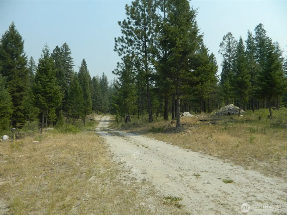 96 Horn Ranch Road Tonasket, WA 98855