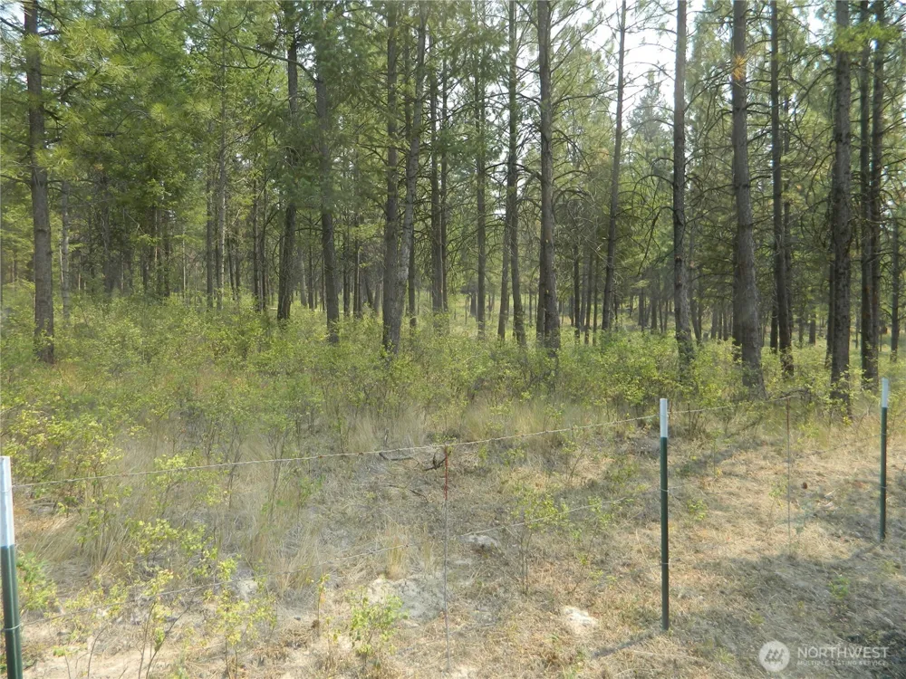 96 Horn Ranch Road Tonasket, WA 98855