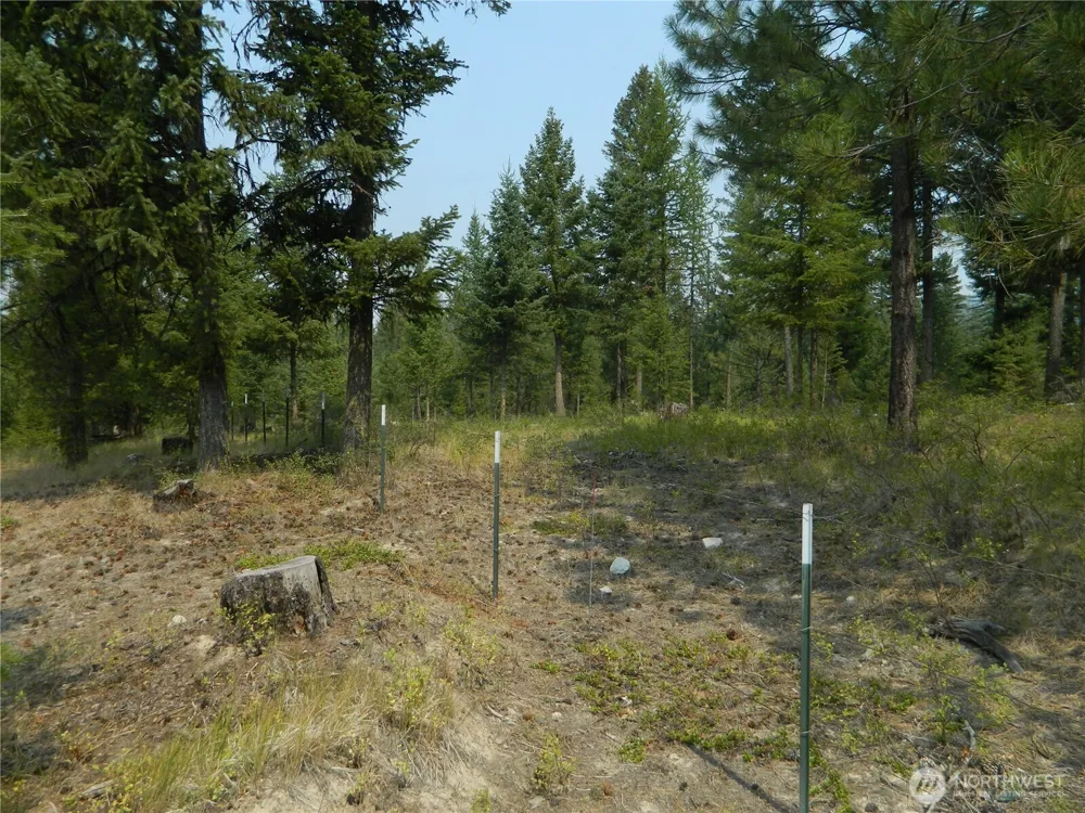 96 Horn Ranch Road Tonasket, WA 98855