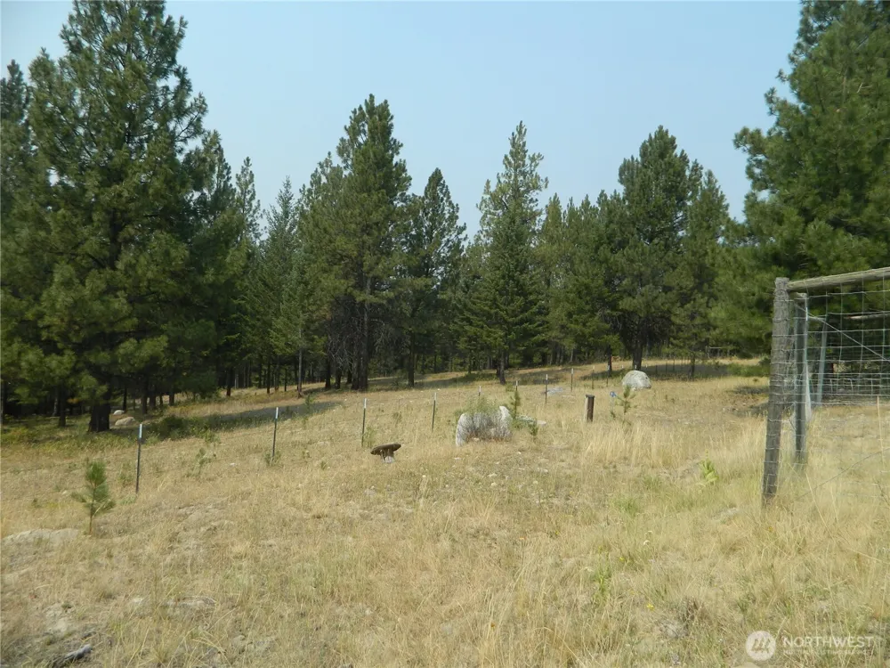 96 Horn Ranch Road Tonasket, WA 98855