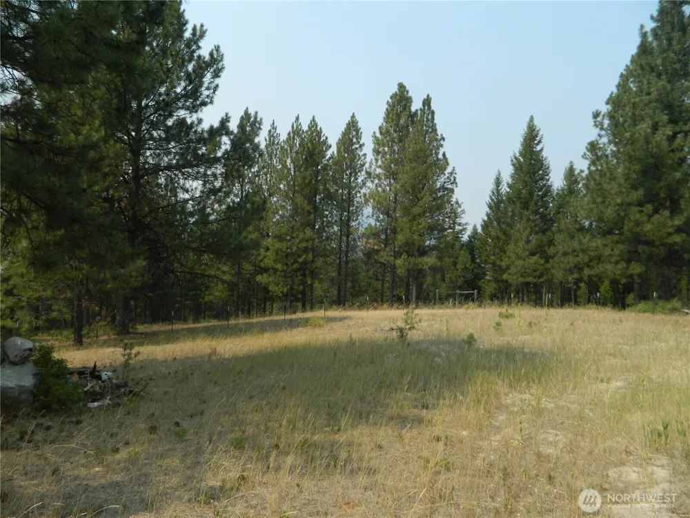 96 Horn Ranch Road Tonasket, WA 98855