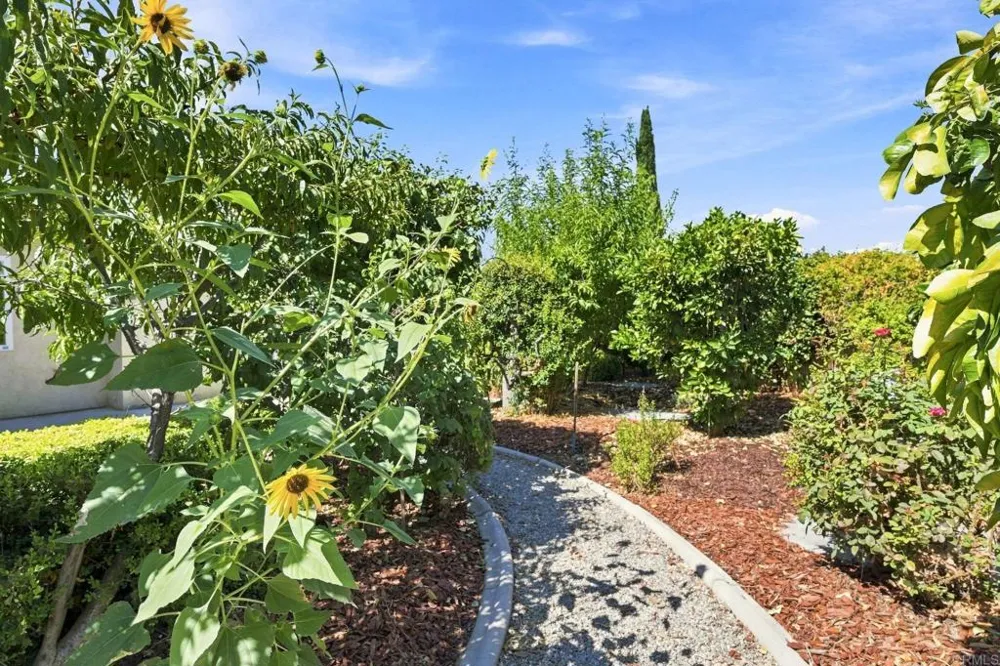 43154 Parkway Avenue Hemet, CA 92544