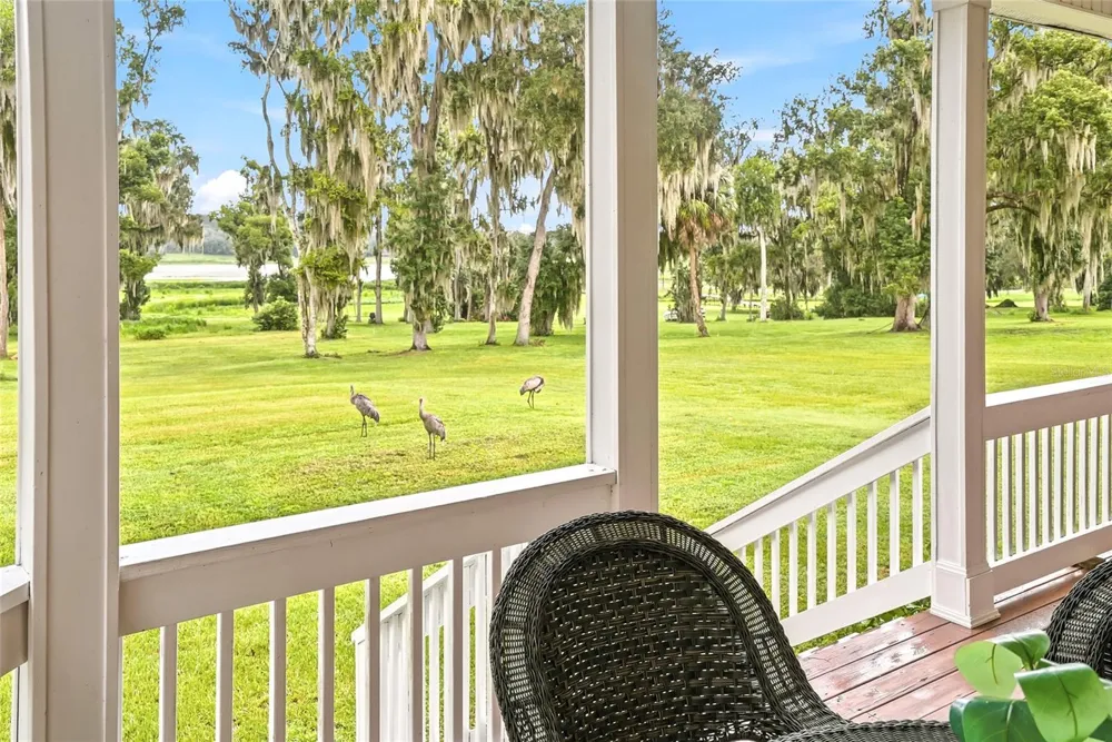 18350 HANCOCK BLUFF ROAD Dade City, FL 33523