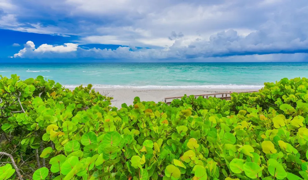 176 Helios Drive #308 Jupiter, FL 33477