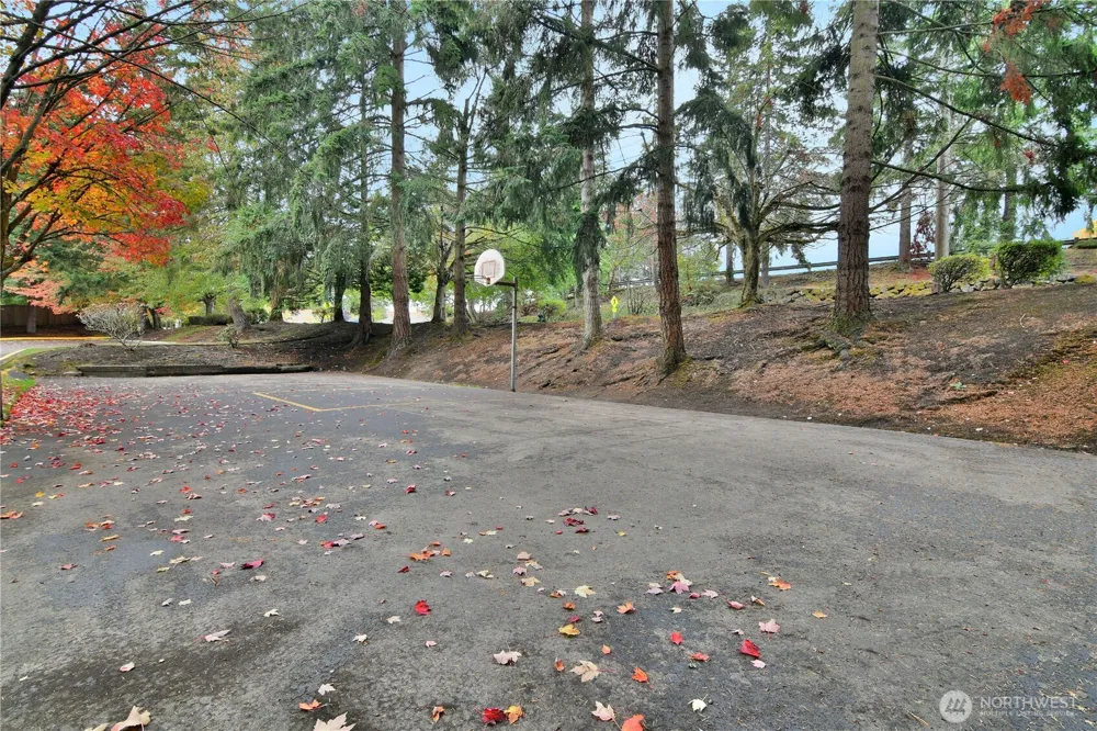 700 160th Street #A314 Shoreline, WA 98133