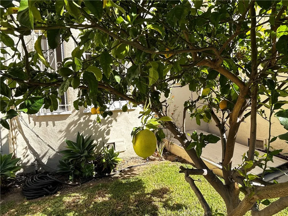 935 S Alandele Avenue Los Angeles, CA 90036