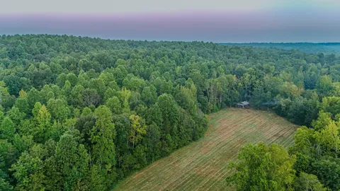 965 Flag Springs Rd