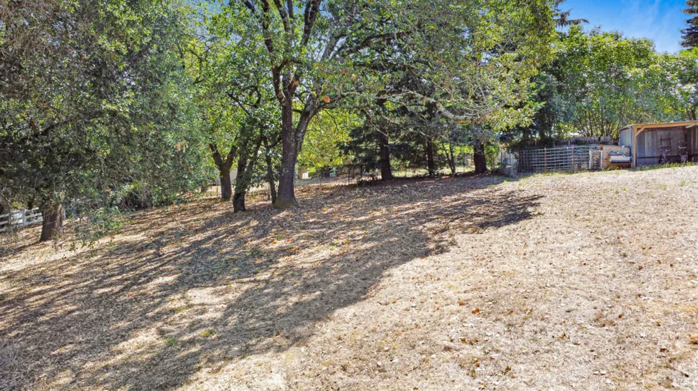 530 Bloomfield Road Sebastopol, CA 95472