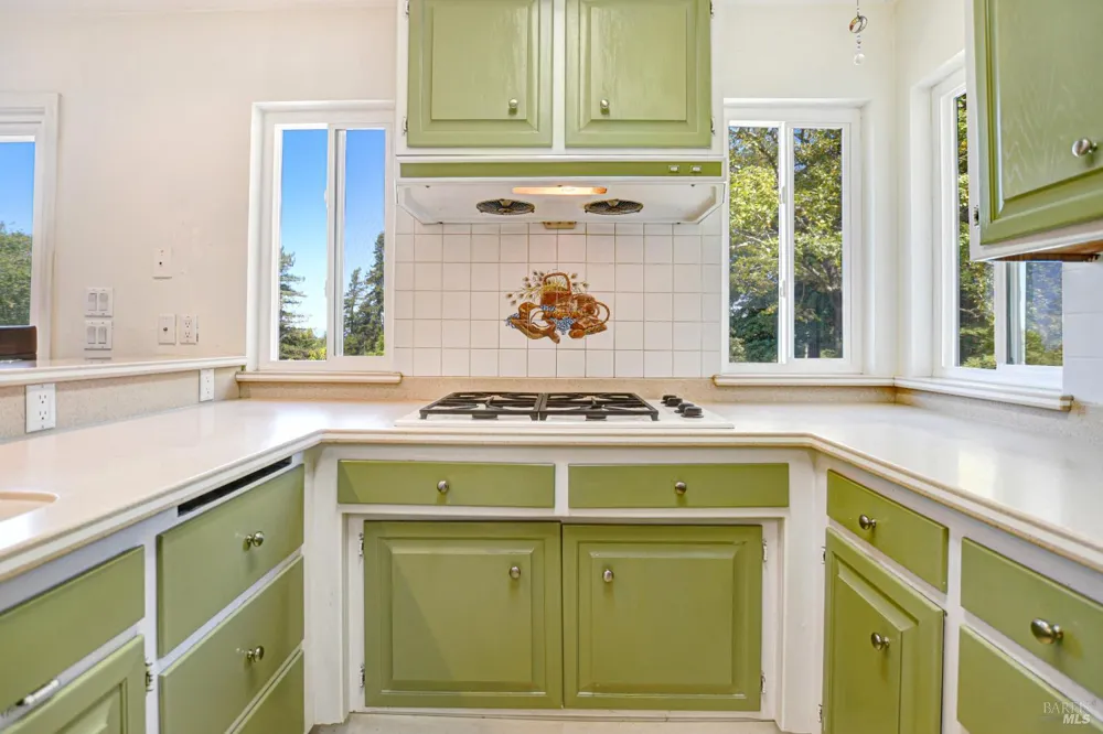 530 Bloomfield Road Sebastopol, CA 95472