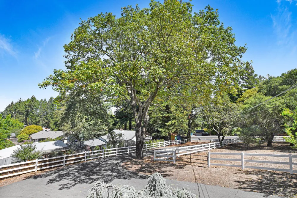 530 Bloomfield Road Sebastopol, CA 95472