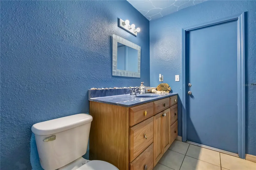 7228 EVERGREEN LOOP Polk City, FL 33868