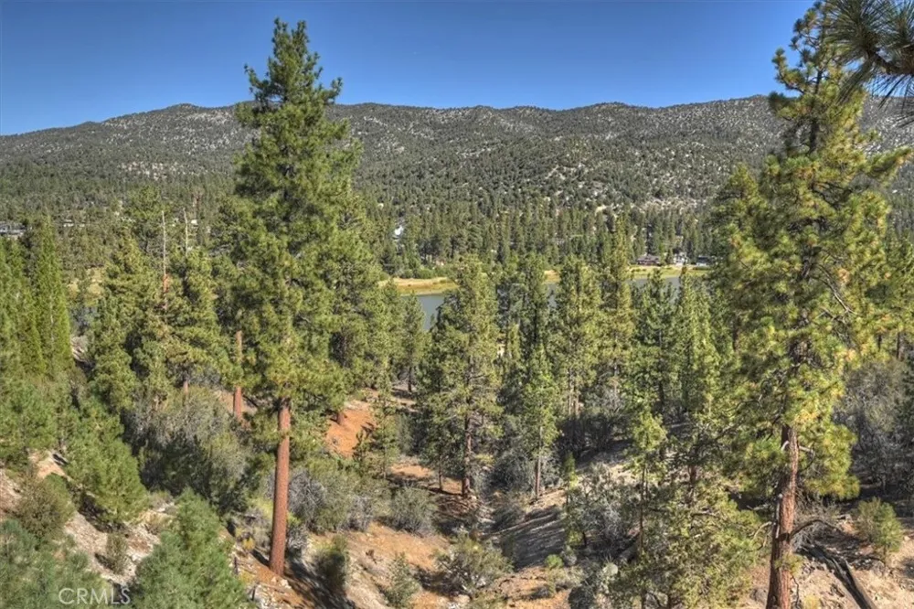42324 Eagle Ridge Rd Big Bear Lake, CA 92315