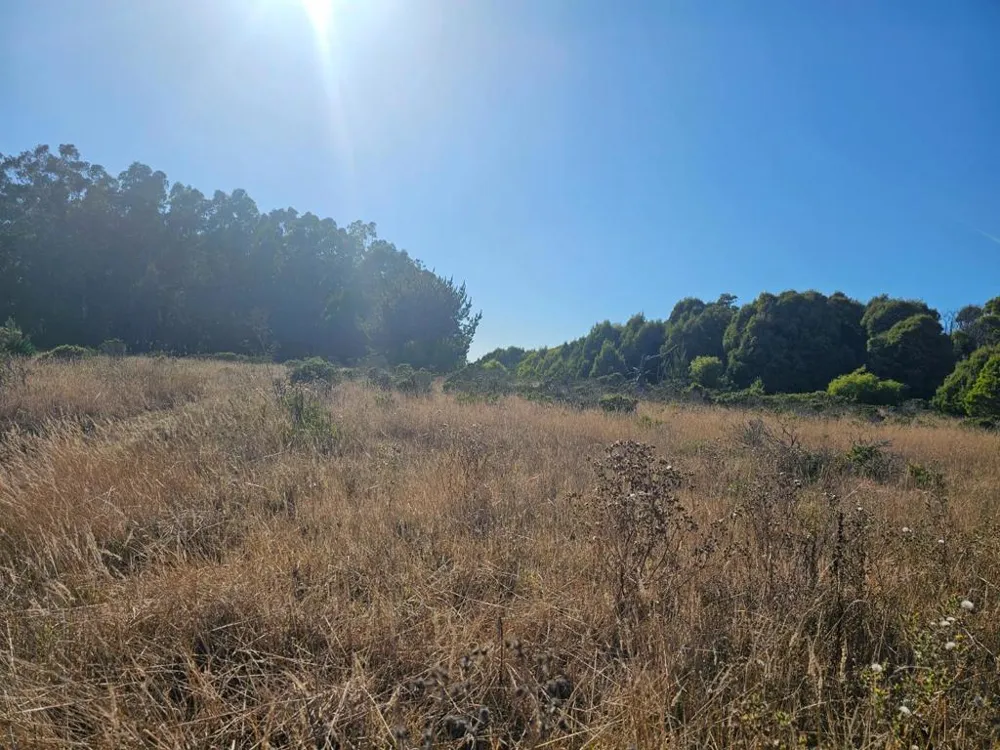 Address Not Shown Half Moon Bay, CA 94019