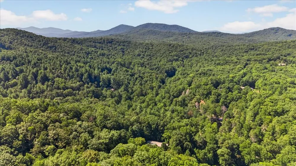 357 Wise Road Morganton, GA 30560