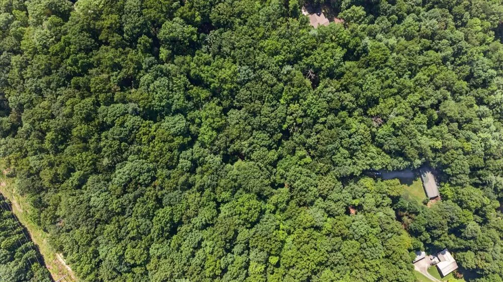 357 Wise Road Morganton, GA 30560