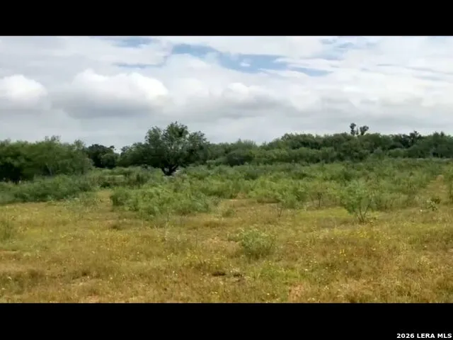 13808-III Greenwood Rd Atascosa, TX 78002