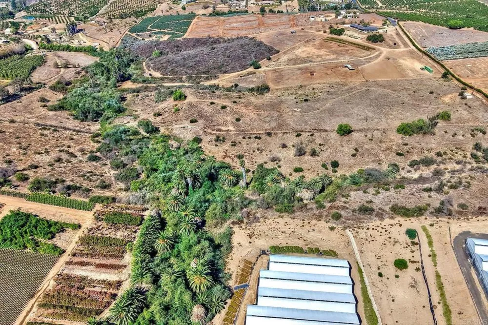 7729 Mount Ara Bonsall, CA 92003