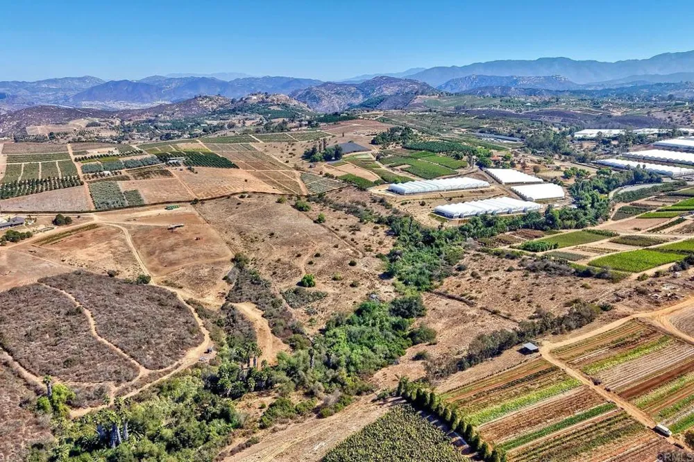 7729 Mount Ara Bonsall, CA 92003