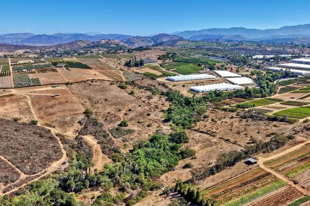 7729 Mount Ara Bonsall, CA 92003