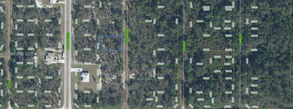 7019 Goldenrod Avenue Sebring, FL 33875
