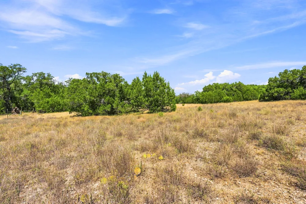 10 Lipan Run Fischer, TX 78623